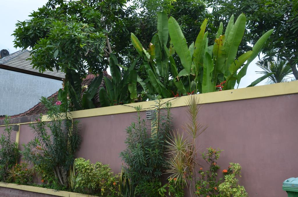 Villa Eva Canggu  Luaran gambar