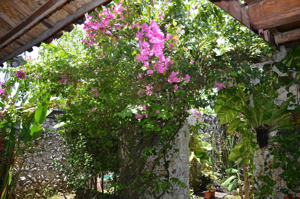Villa Eva Canggu  Luaran gambar